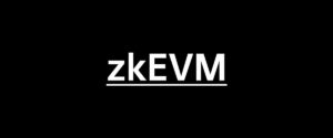 Institutional Asset Management with zkEVM Blockchain Technology