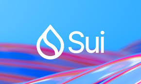 Sui blockchain faces