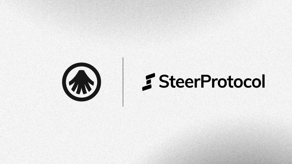 Steer Protocol Integrates