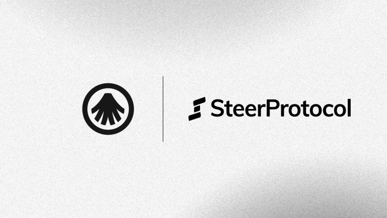 Steer Protocol Integrates