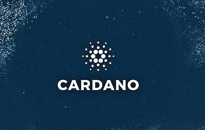 who owns cardano's ADA