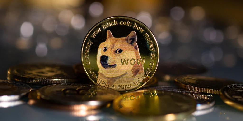 Dogecoin Payments