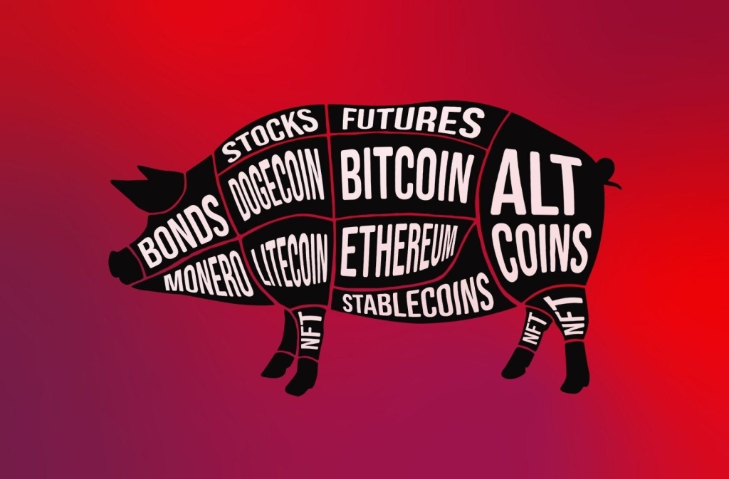 pig butchering crypto scam