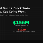 CASHCAT memecoin dwarfs tokenised stocks on Robinhood Chain — bar chart comparison
